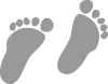 ecological footprint